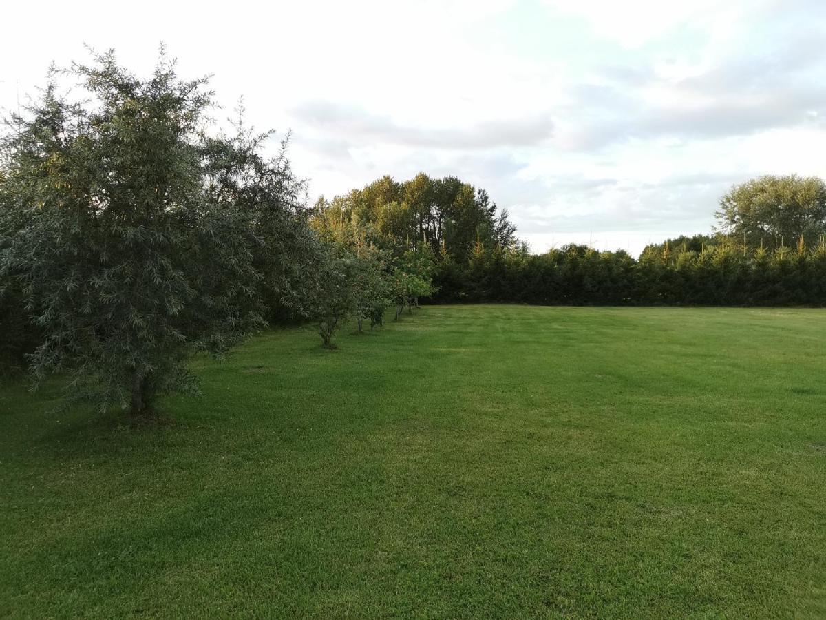 Kuuseoksa Holiday Home Viru-Nigula Zewnętrze zdjęcie