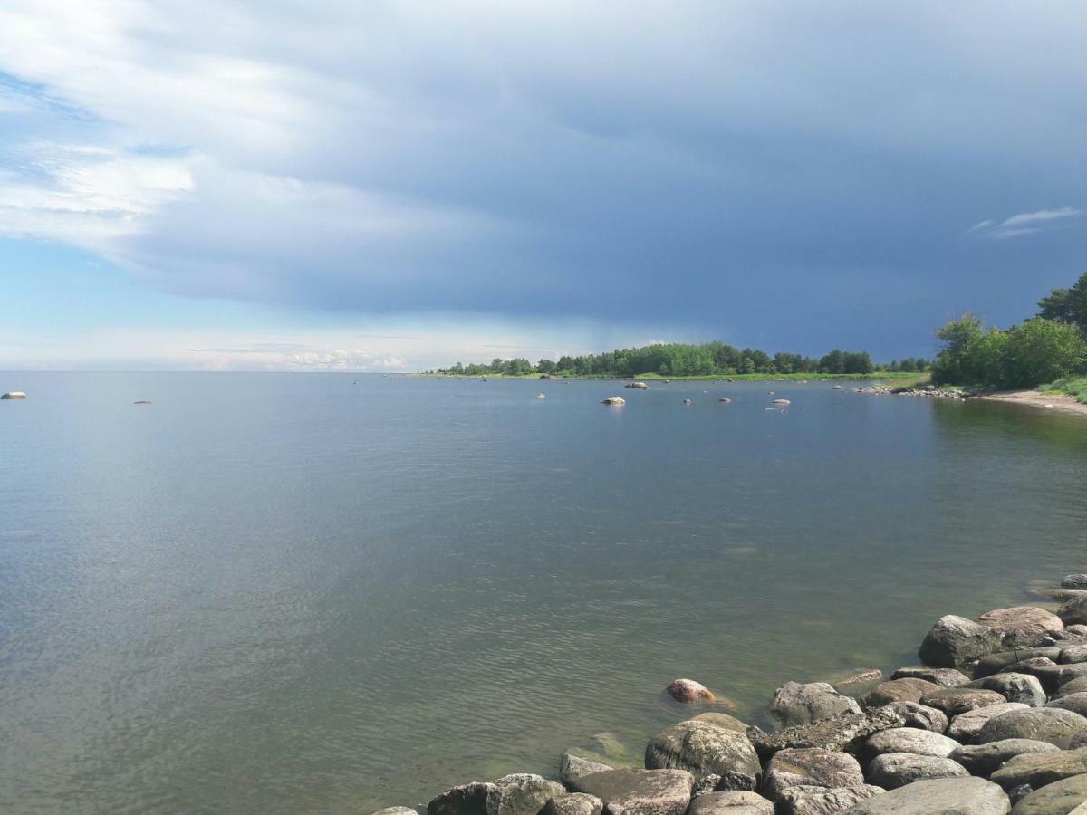 Kuuseoksa Holiday Home Viru-Nigula Zewnętrze zdjęcie